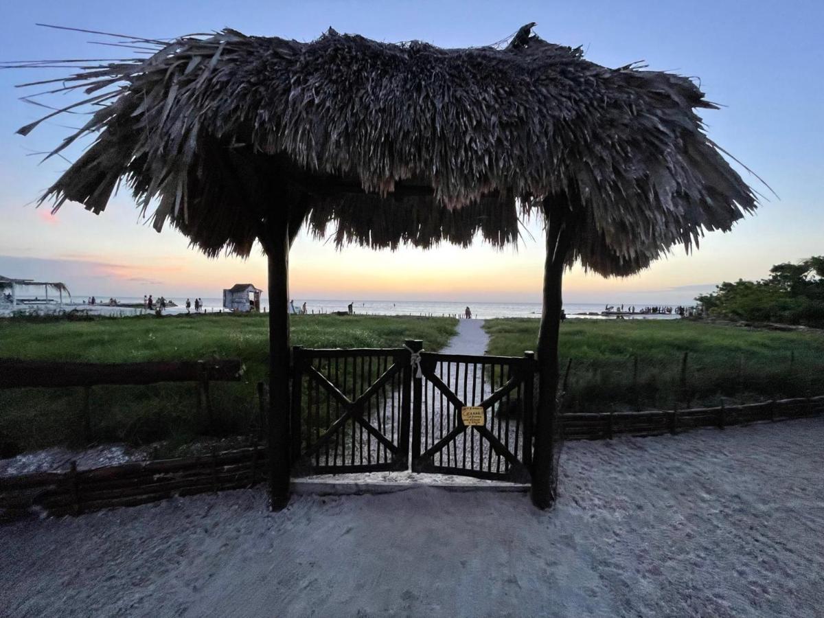 Beach Guesthouse Holbox Apartments & Suites Екстериор снимка