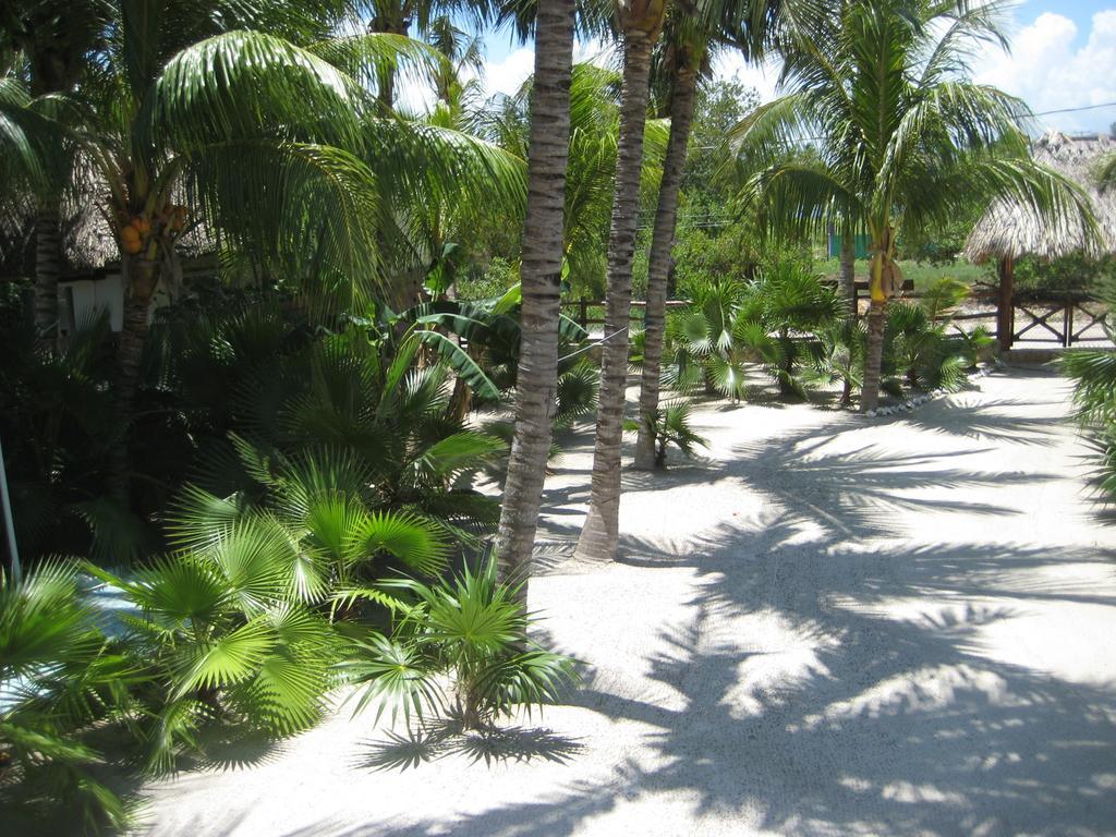 Beach Guesthouse Holbox Apartments & Suites Екстериор снимка