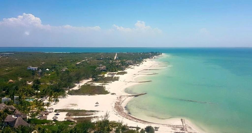 Beach Guesthouse Holbox Apartments & Suites Екстериор снимка