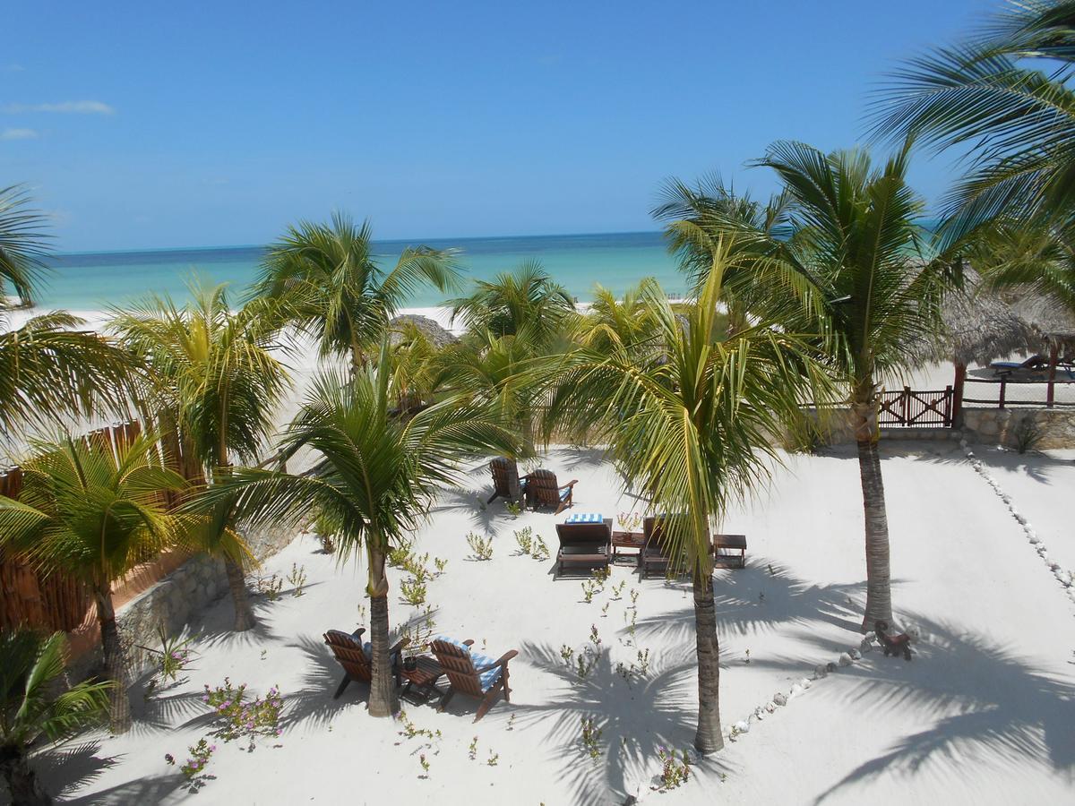 Beach Guesthouse Holbox Apartments & Suites Екстериор снимка