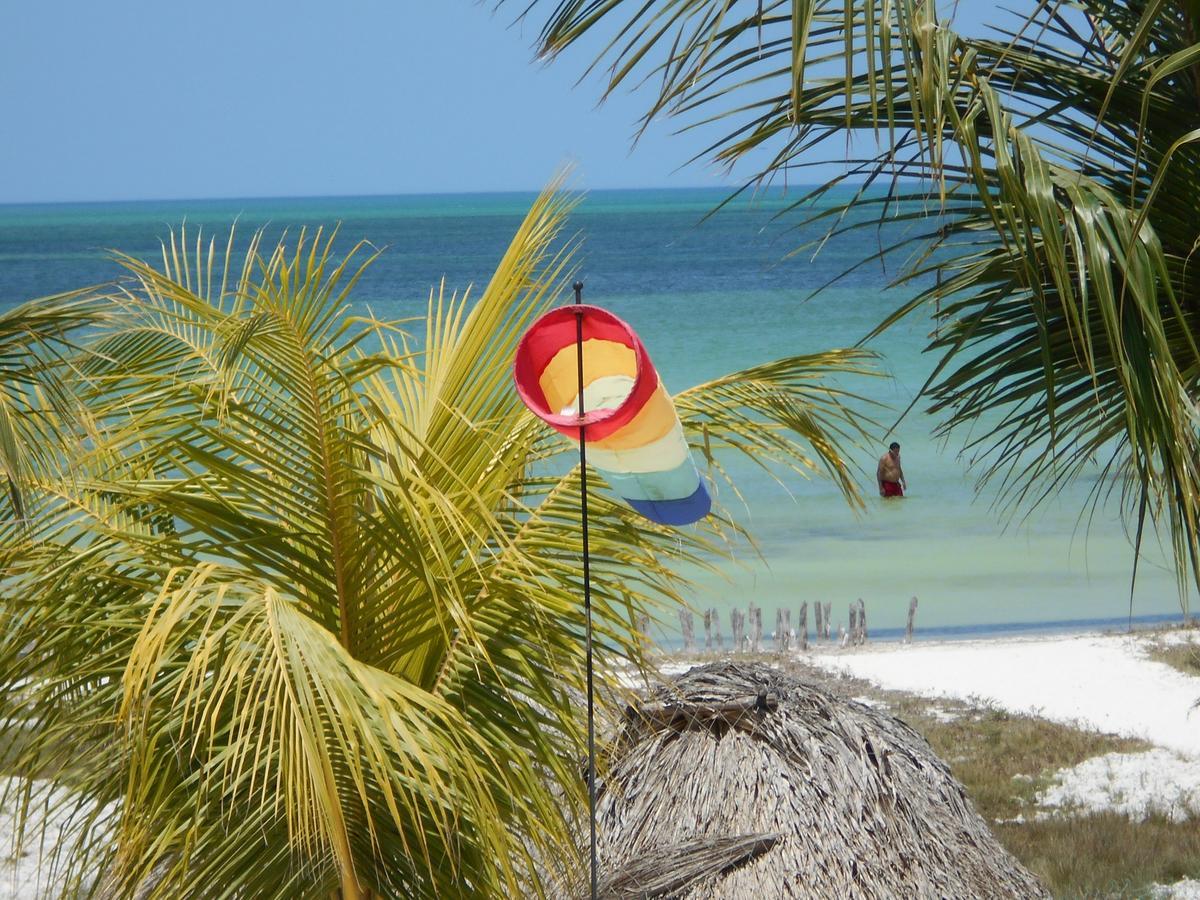 Beach Guesthouse Holbox Apartments & Suites Екстериор снимка