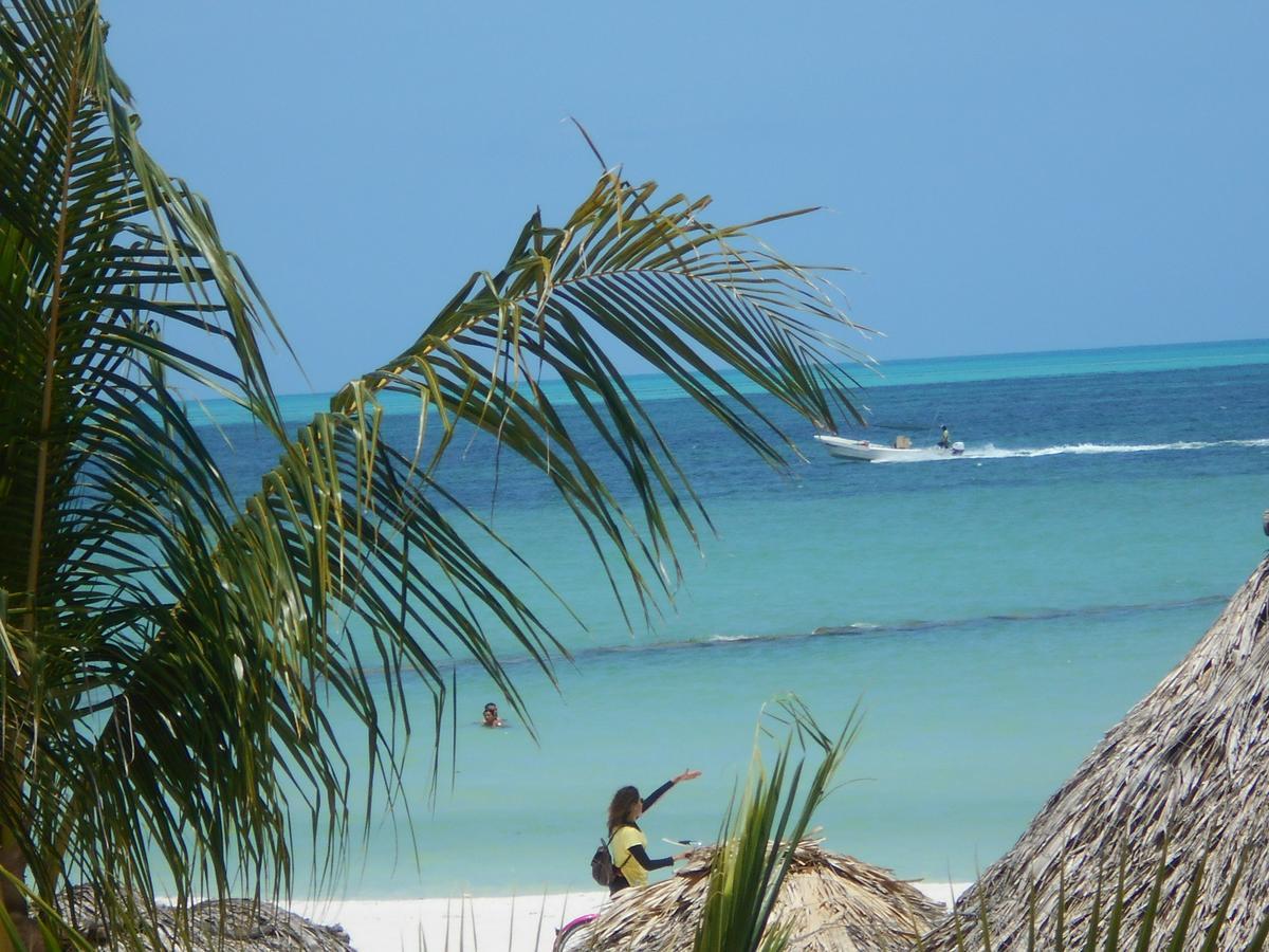Beach Guesthouse Holbox Apartments & Suites Екстериор снимка