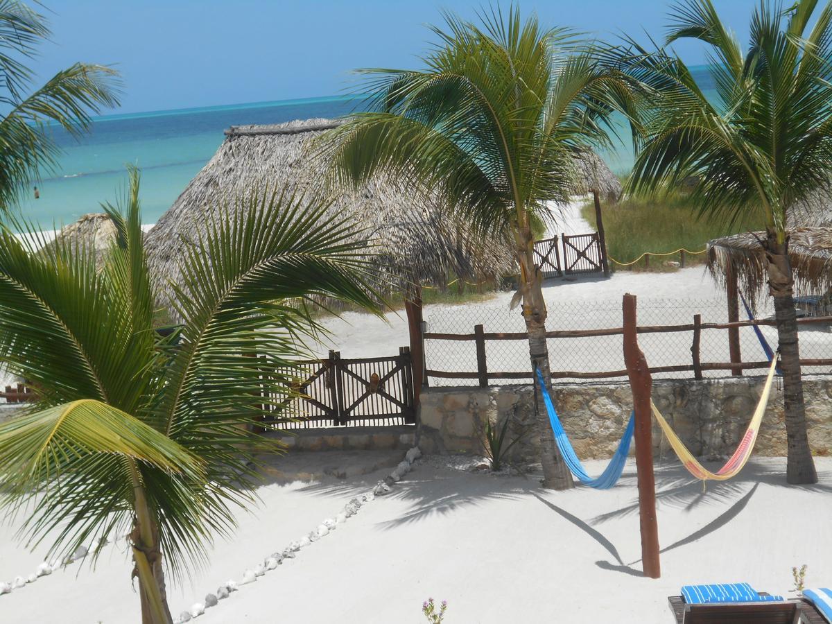 Beach Guesthouse Holbox Apartments & Suites Екстериор снимка