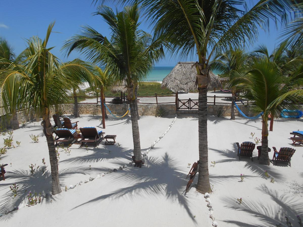 Beach Guesthouse Holbox Apartments & Suites Екстериор снимка