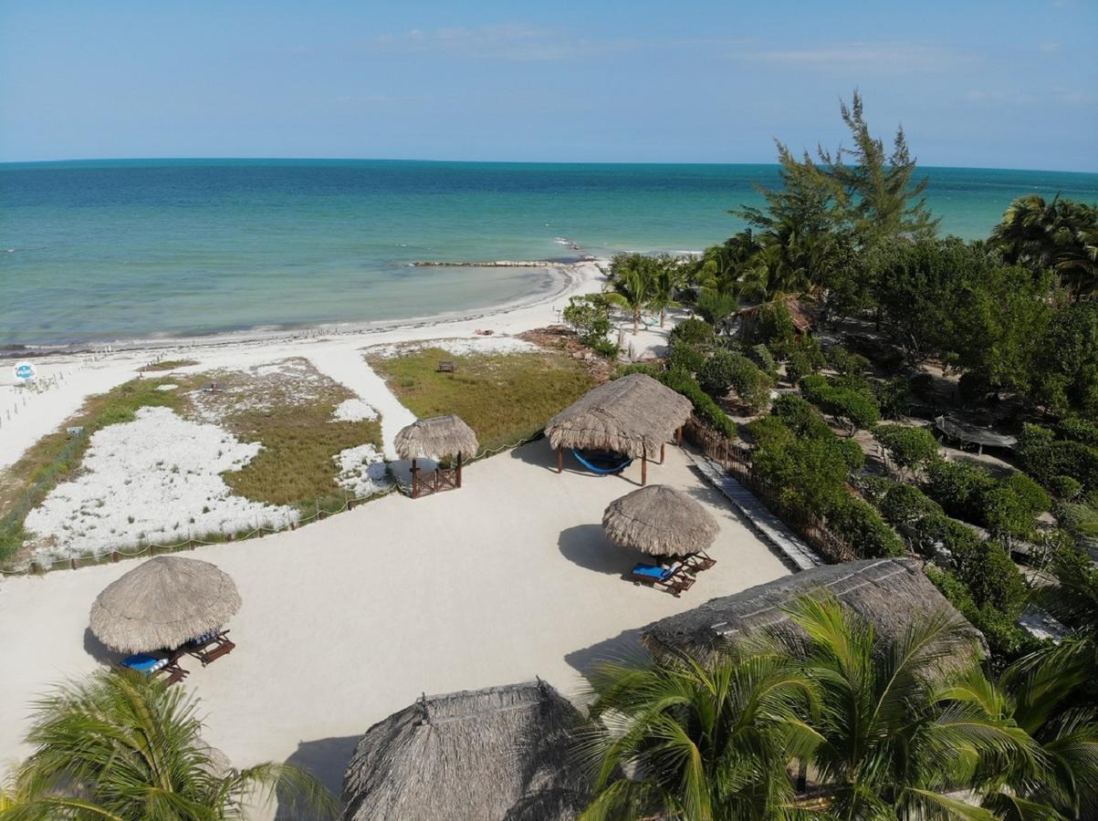 Beach Guesthouse Holbox Apartments & Suites Екстериор снимка