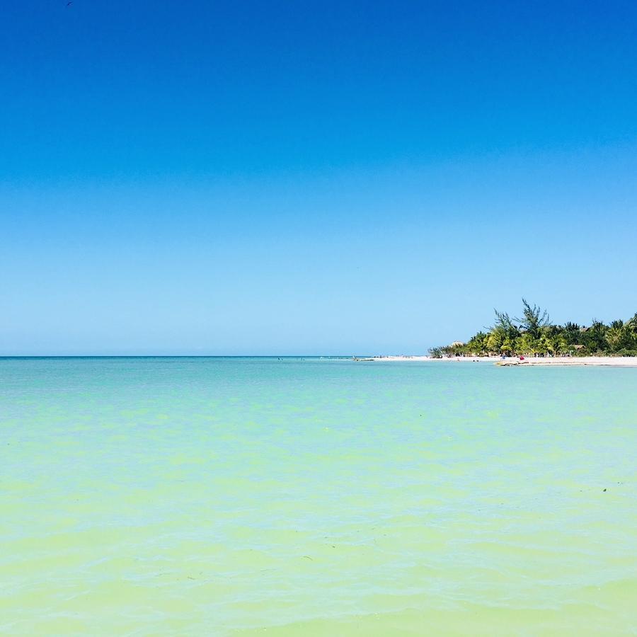 Beach Guesthouse Holbox Apartments & Suites Екстериор снимка